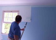 Interior Wall Paints